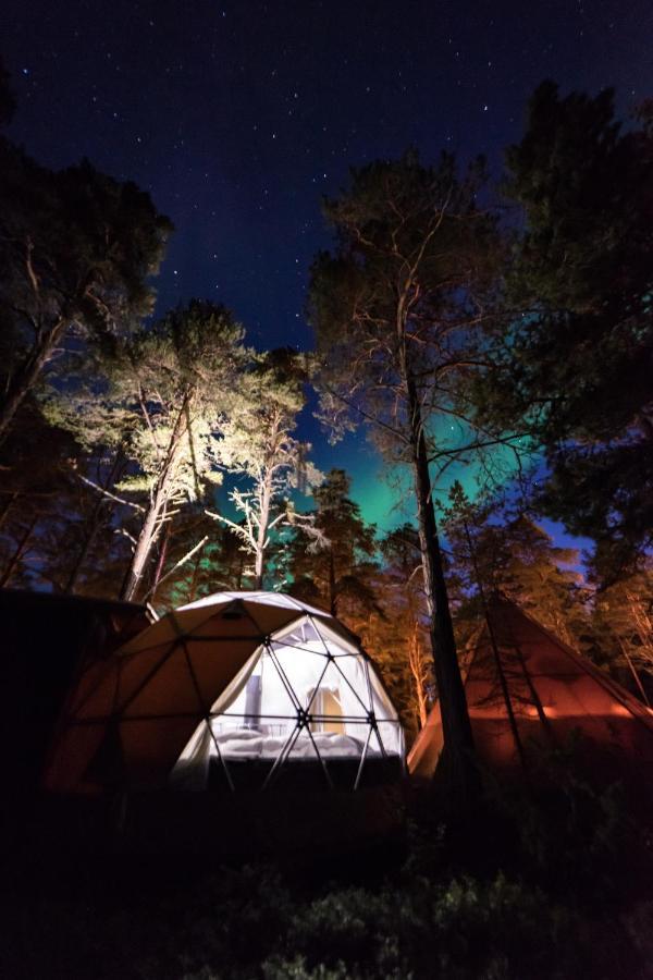 Glod Aurora Canvas Dome 阿尔塔 外观 照片