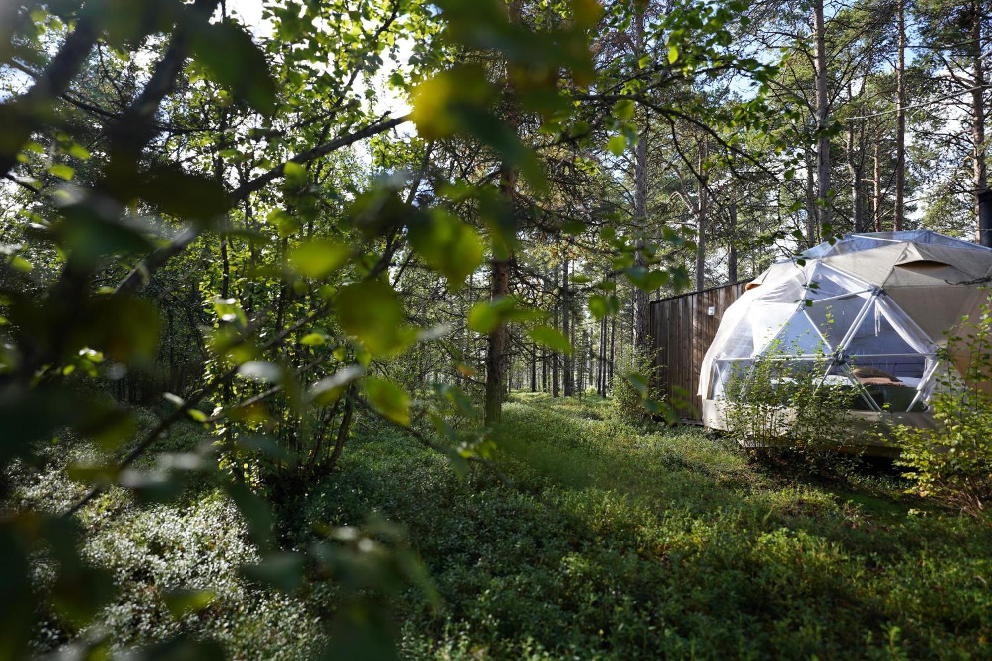 Glod Aurora Canvas Dome 阿尔塔 外观 照片