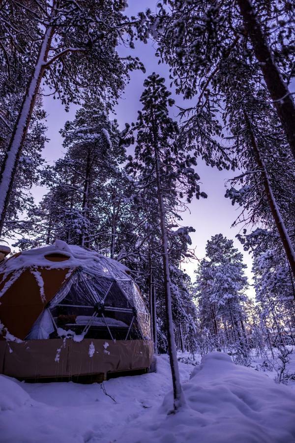 Glod Aurora Canvas Dome 阿尔塔 外观 照片