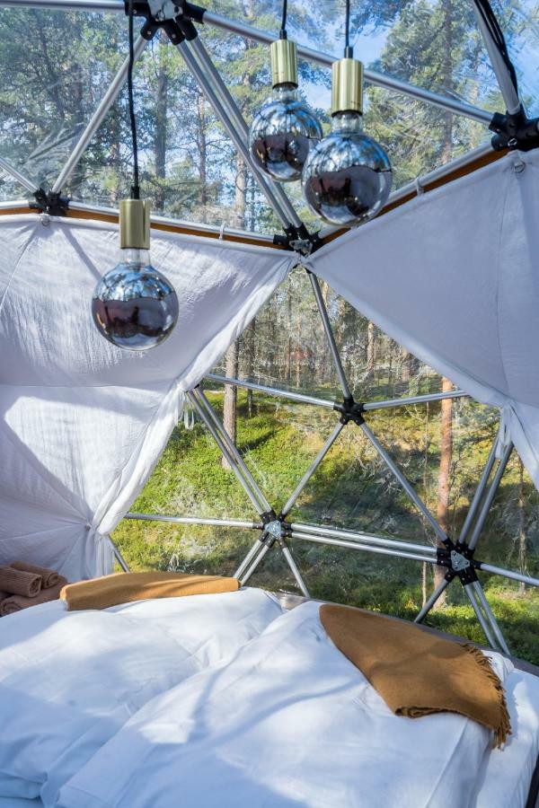Glod Aurora Canvas Dome 阿尔塔 外观 照片